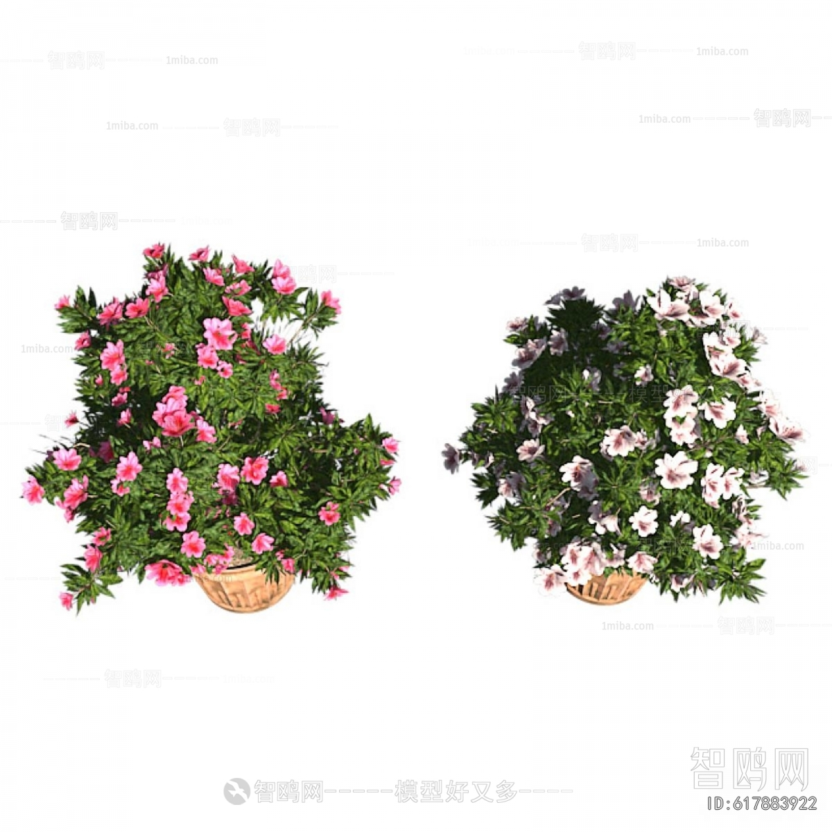 Modern Ground Green Plant Potted Plants