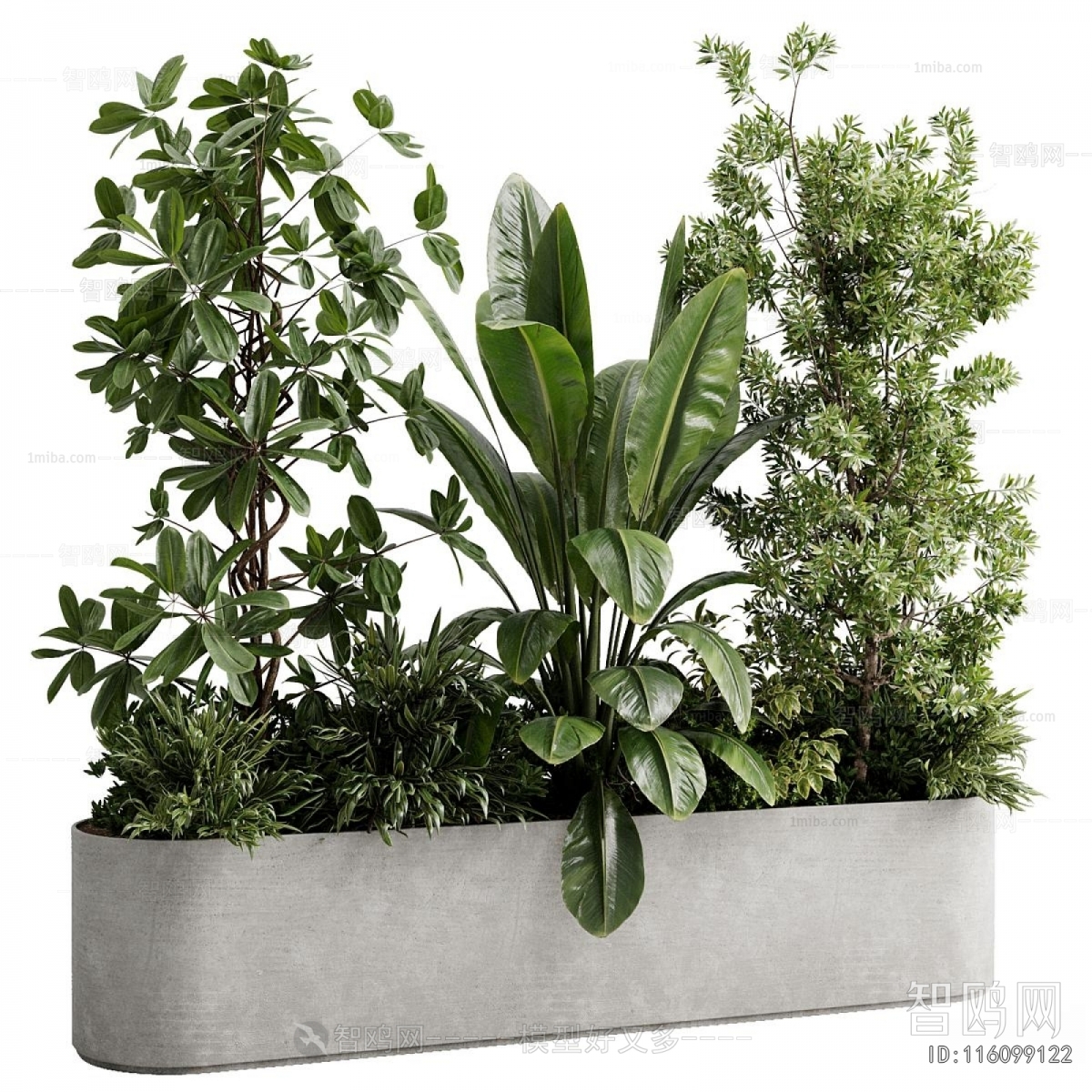 Modern Flower Bed, Flower Bowl, Flower Box