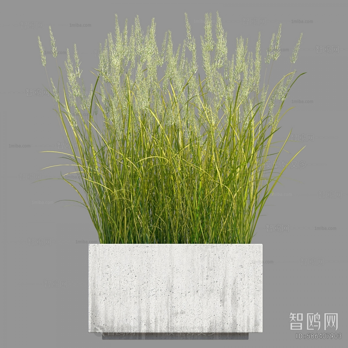 Modern Flower Bed, Flower Bowl, Flower Box