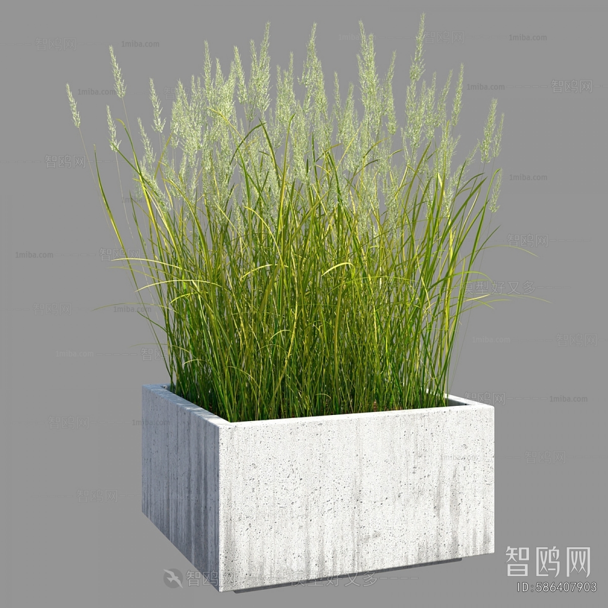 Modern Flower Bed, Flower Bowl, Flower Box