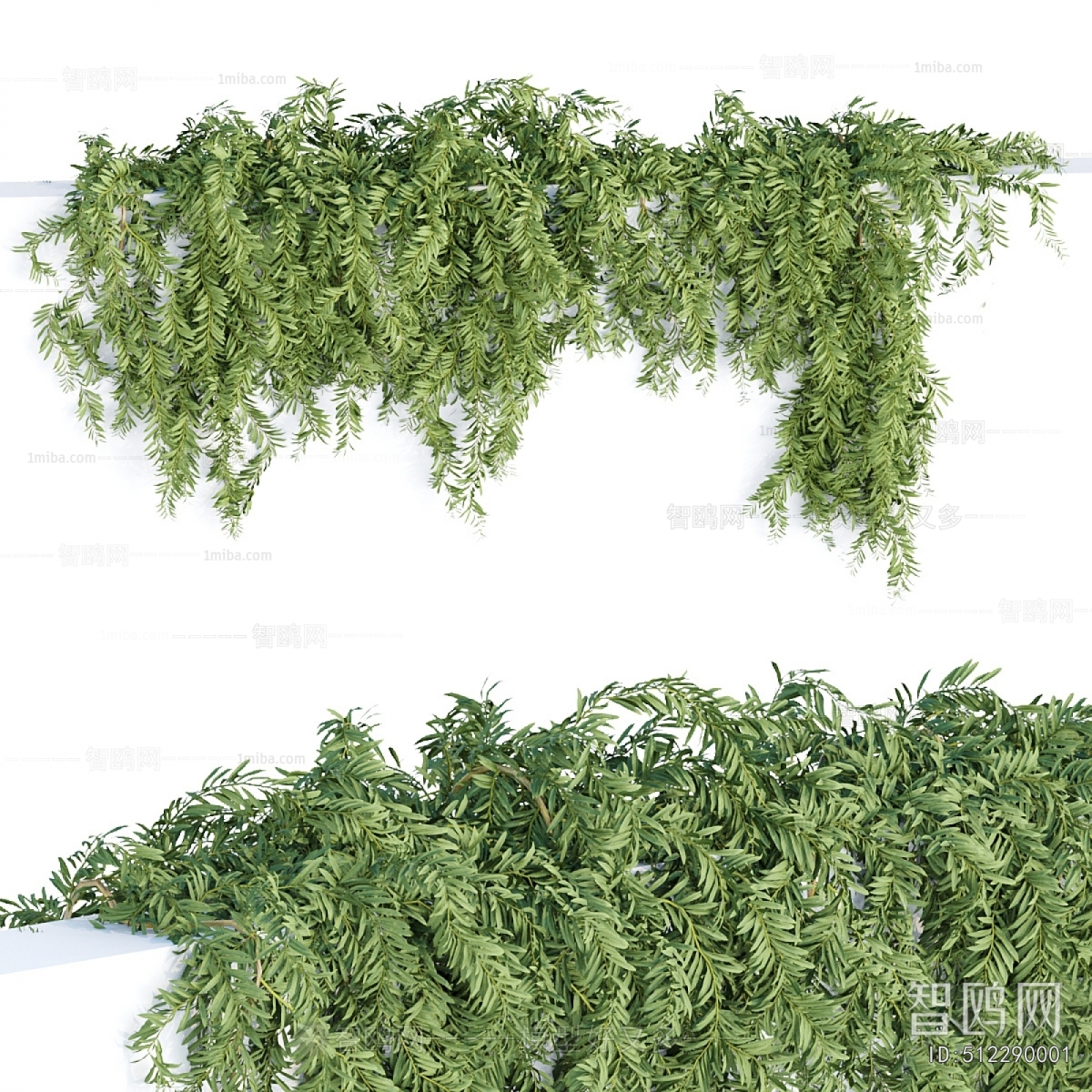Modern Vine