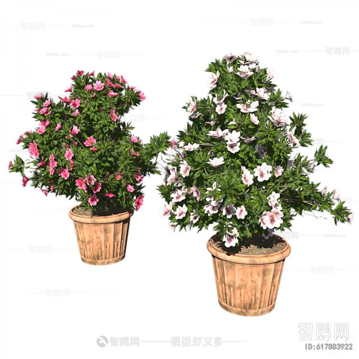 Modern Ground Green Plant Potted Plants
