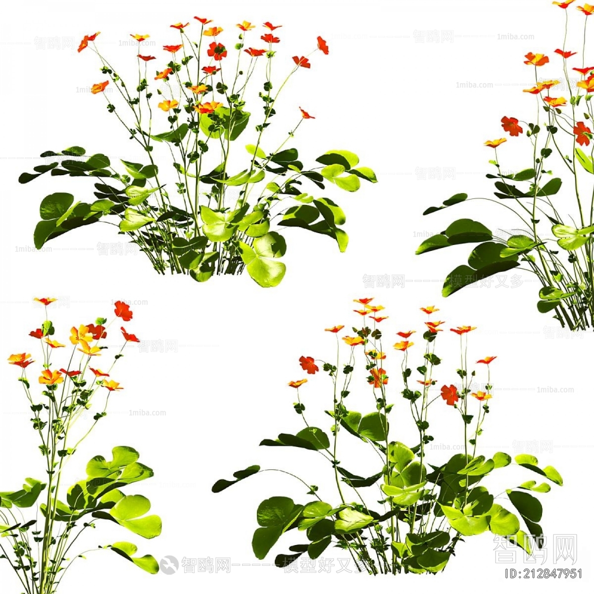 Modern Flowers And Grass