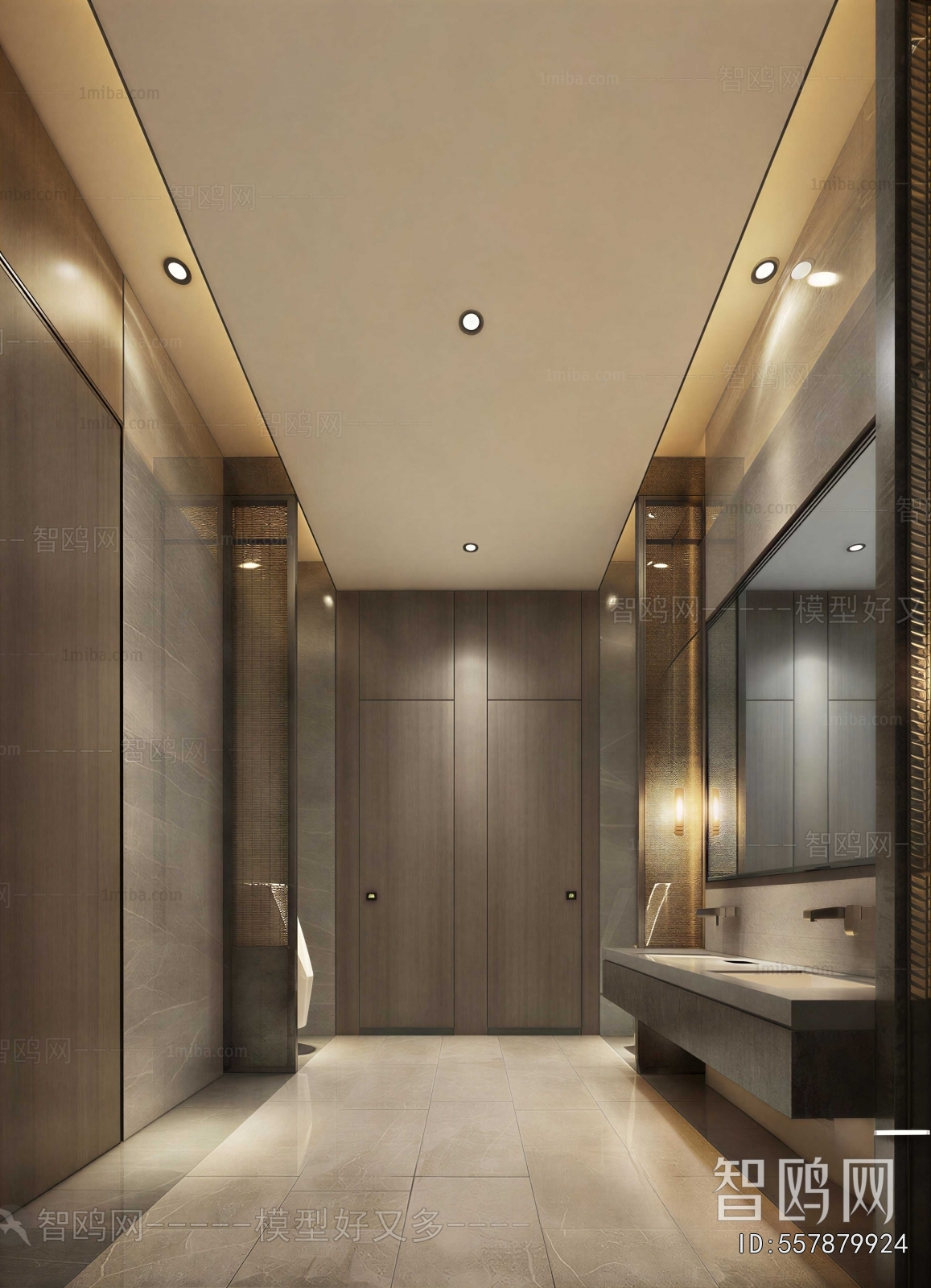 Modern Public Toilet