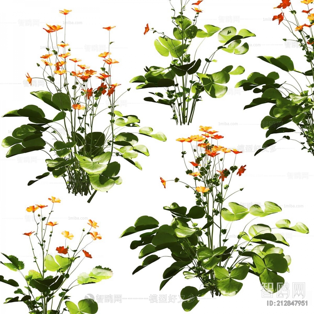 Modern Flowers And Grass
