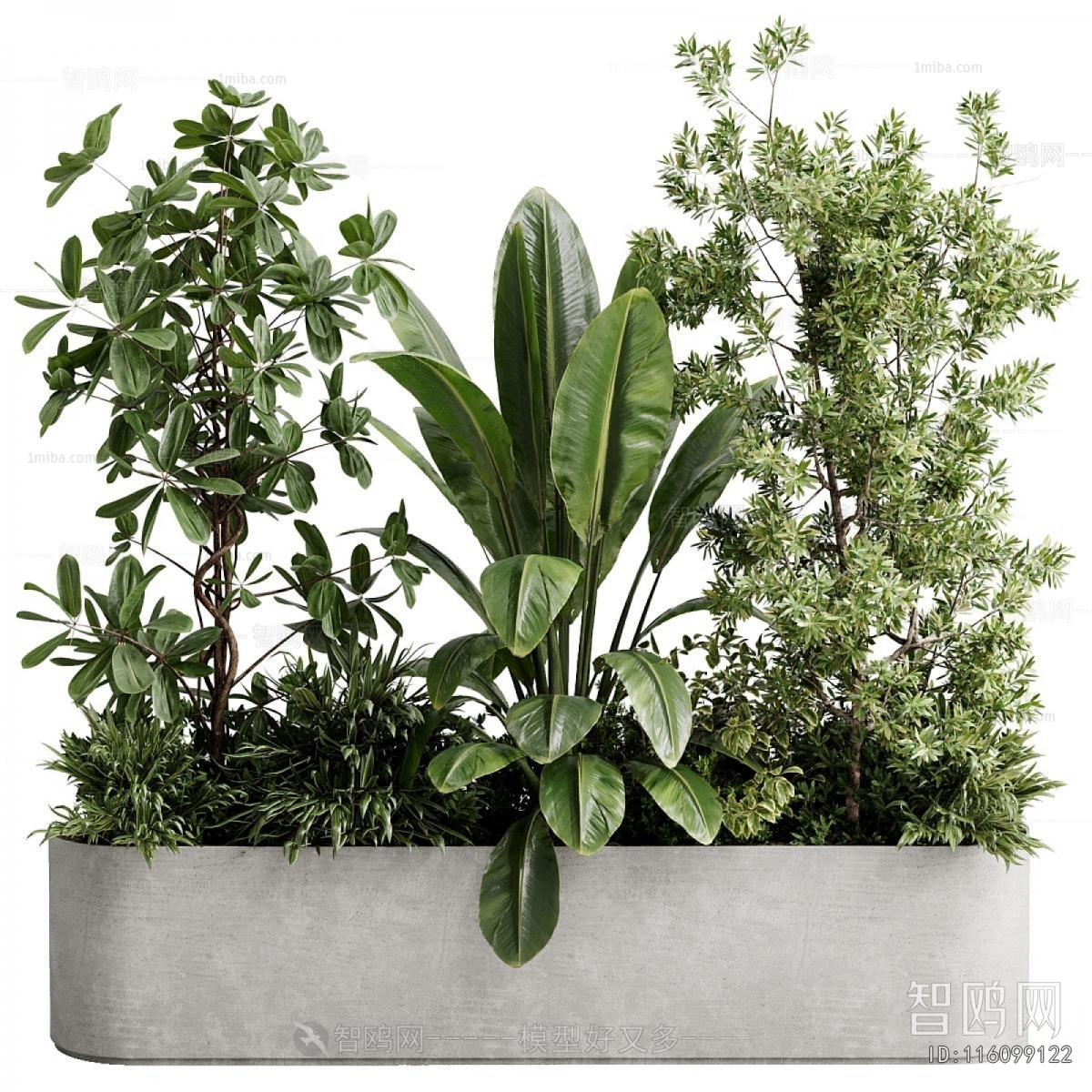 Modern Flower Bed, Flower Bowl, Flower Box