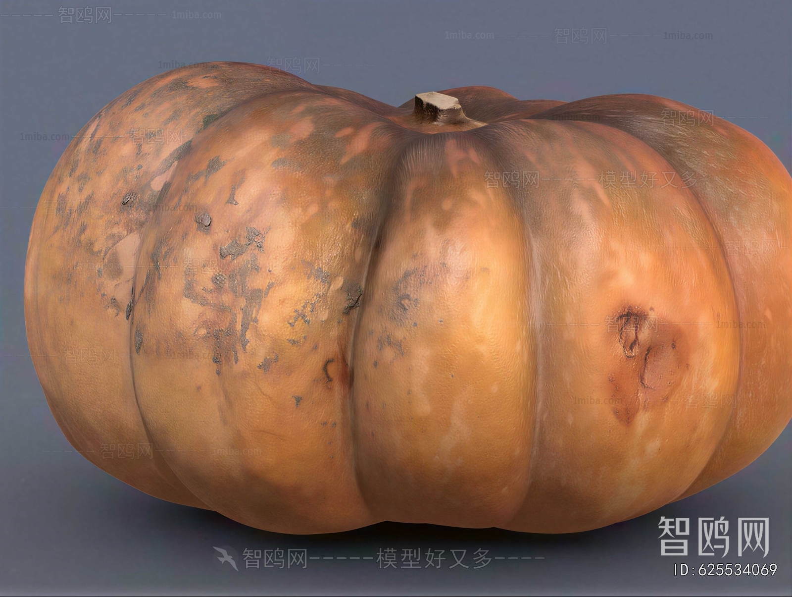 Modern Vegetables