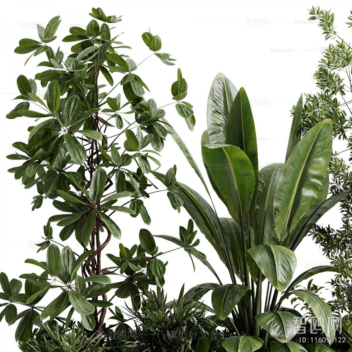 Modern Flower Bed, Flower Bowl, Flower Box
