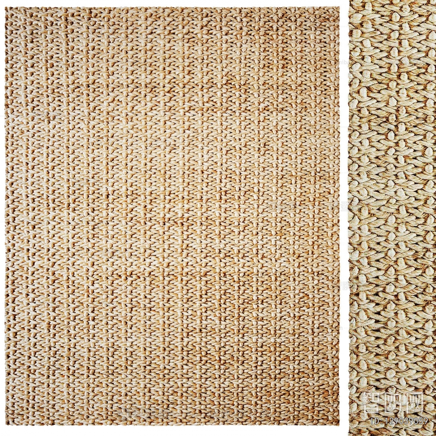 Modern The Carpet