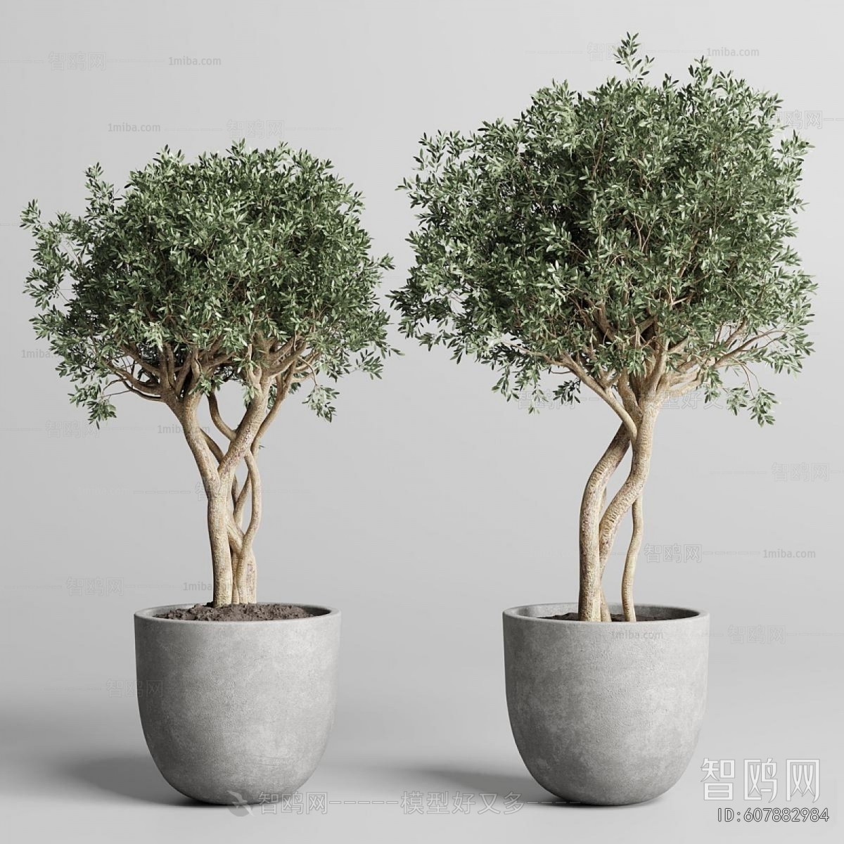 Modern Ground Green Plant Potted Plants