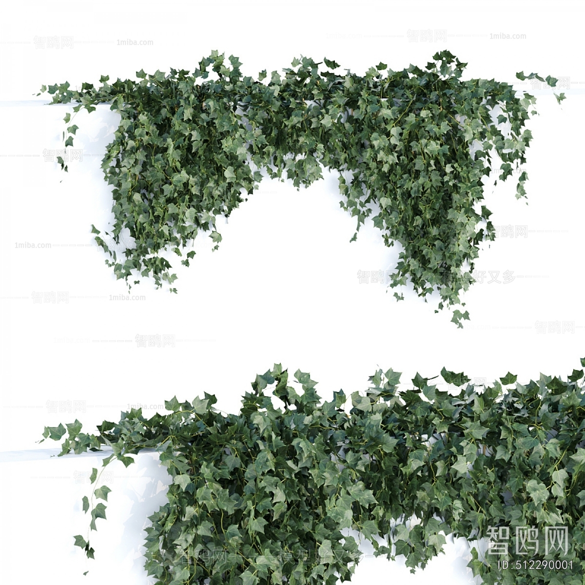 Modern Vine