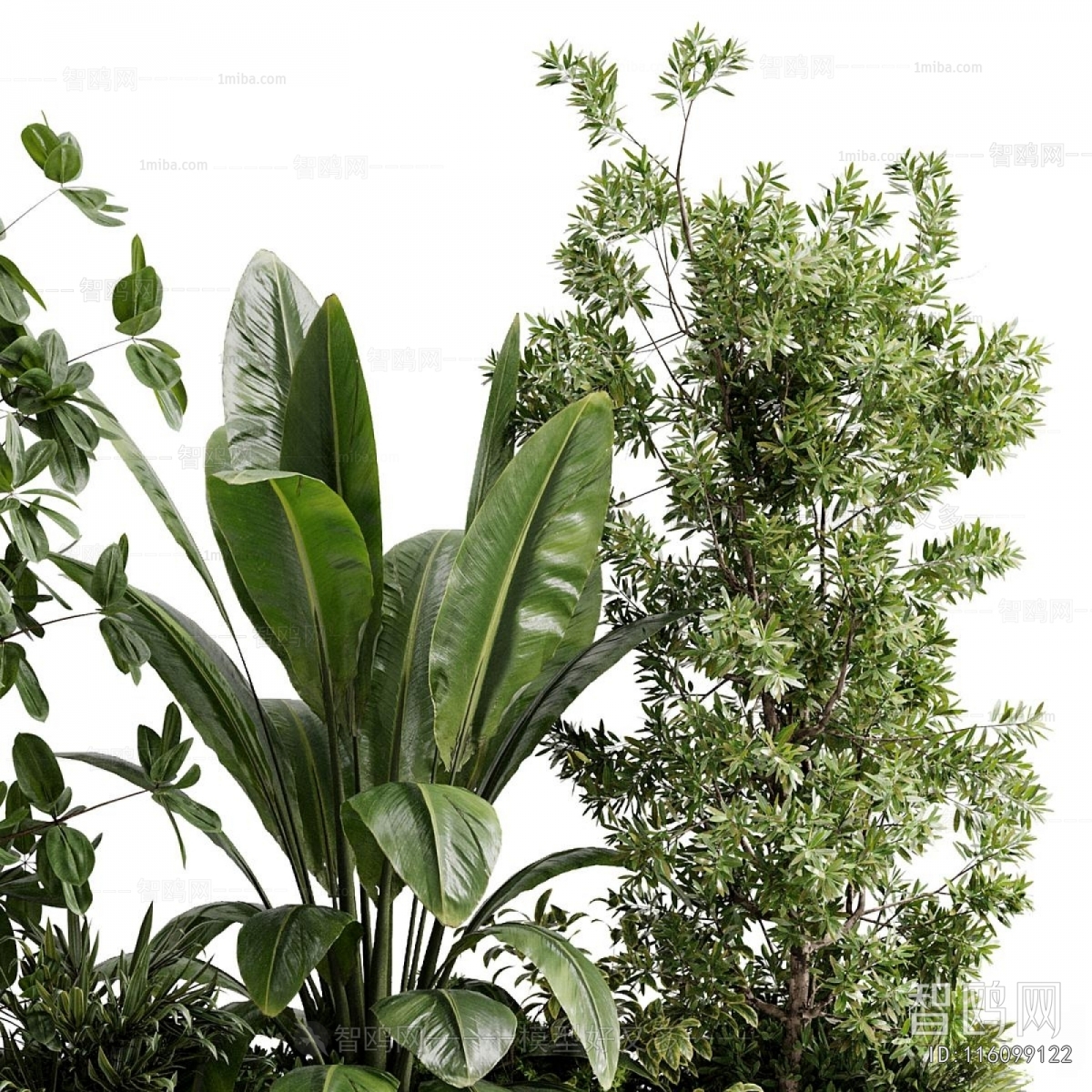 Modern Flower Bed, Flower Bowl, Flower Box