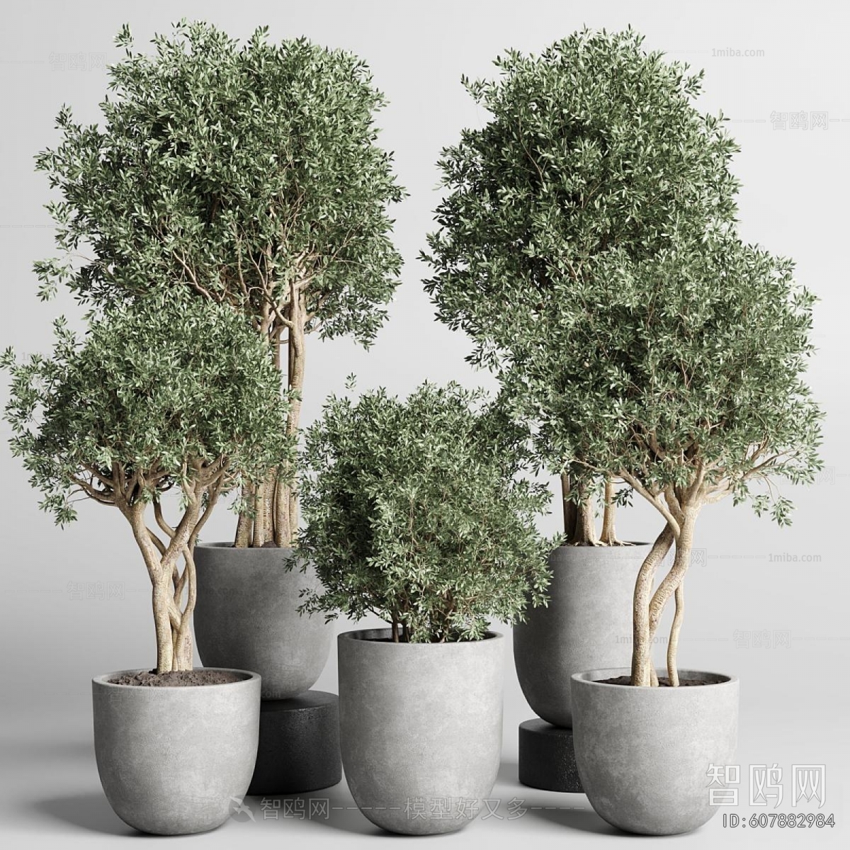 Modern Ground Green Plant Potted Plants