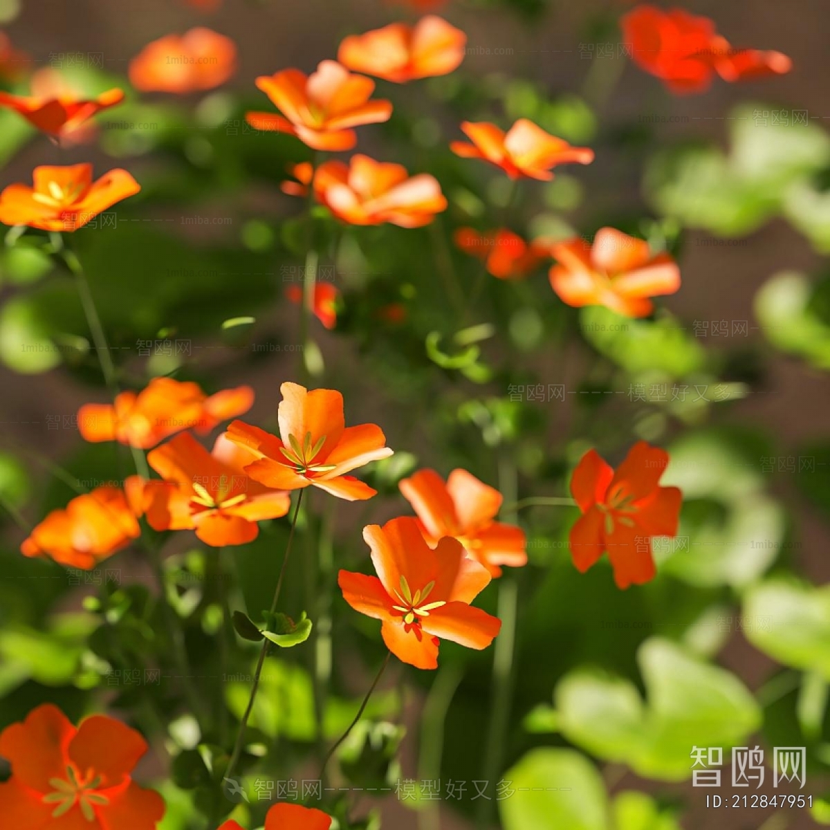 Modern Flowers And Grass