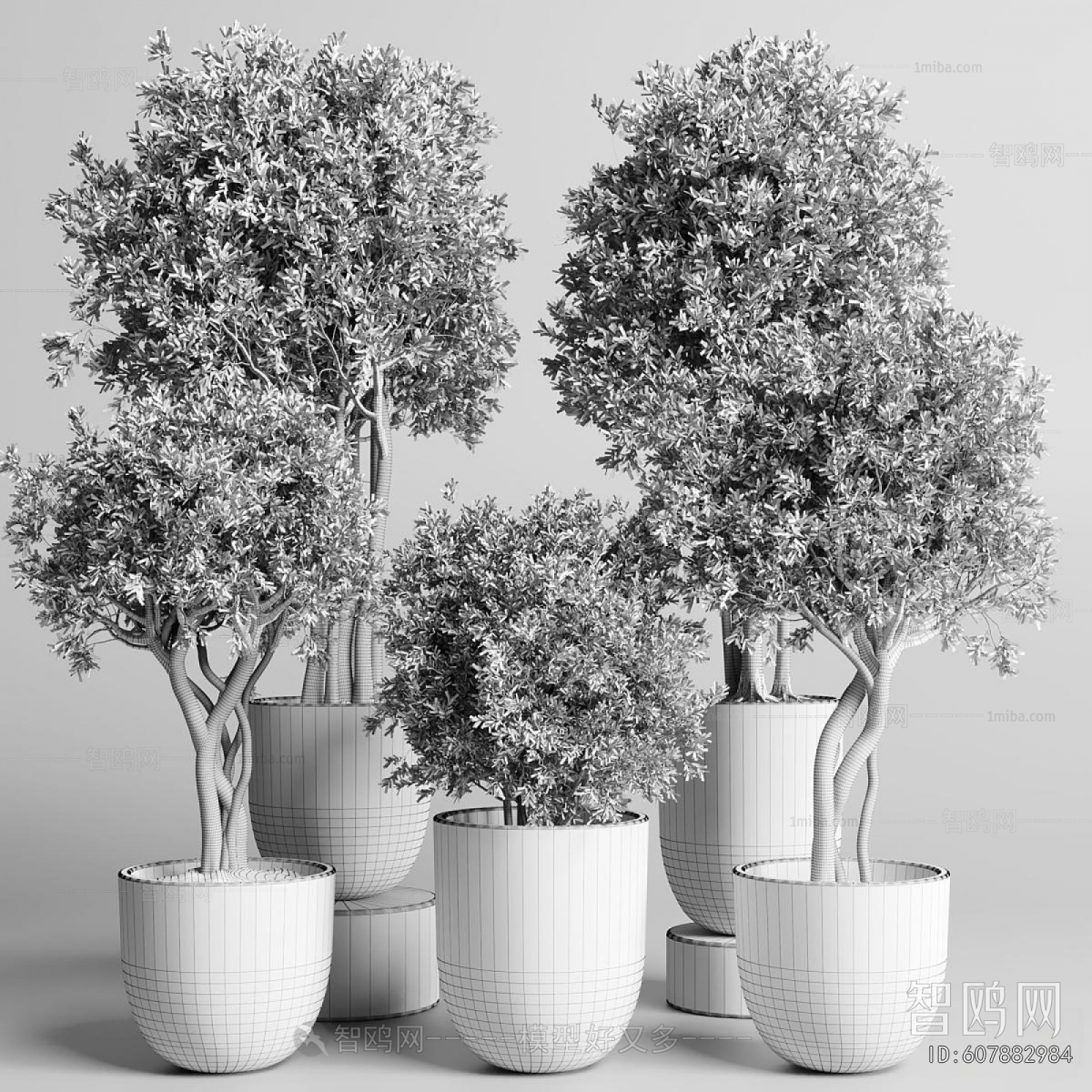 Modern Ground Green Plant Potted Plants