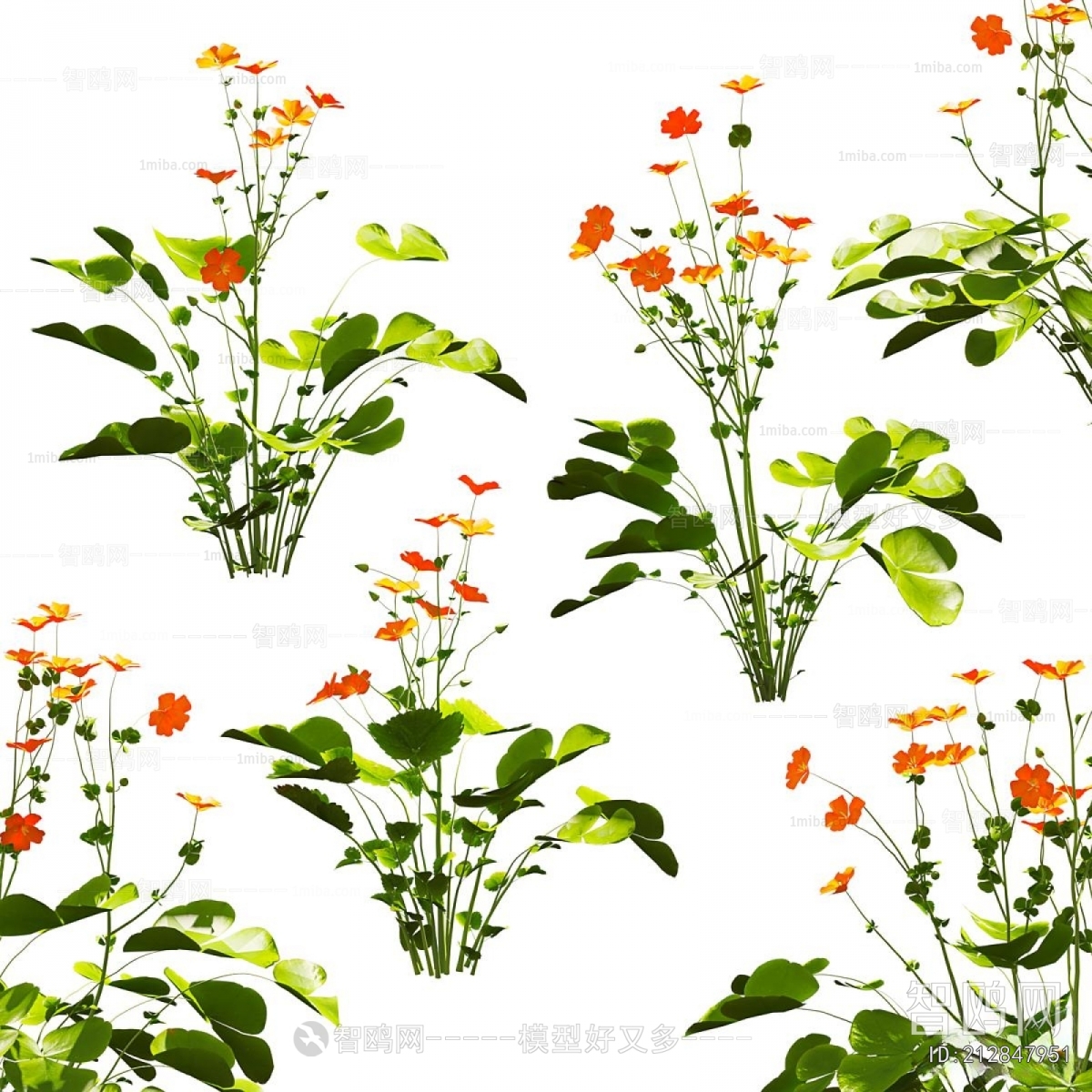 Modern Flowers And Grass