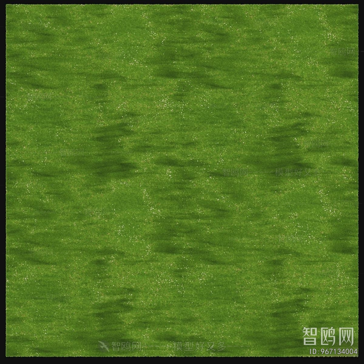 Modern The Grass