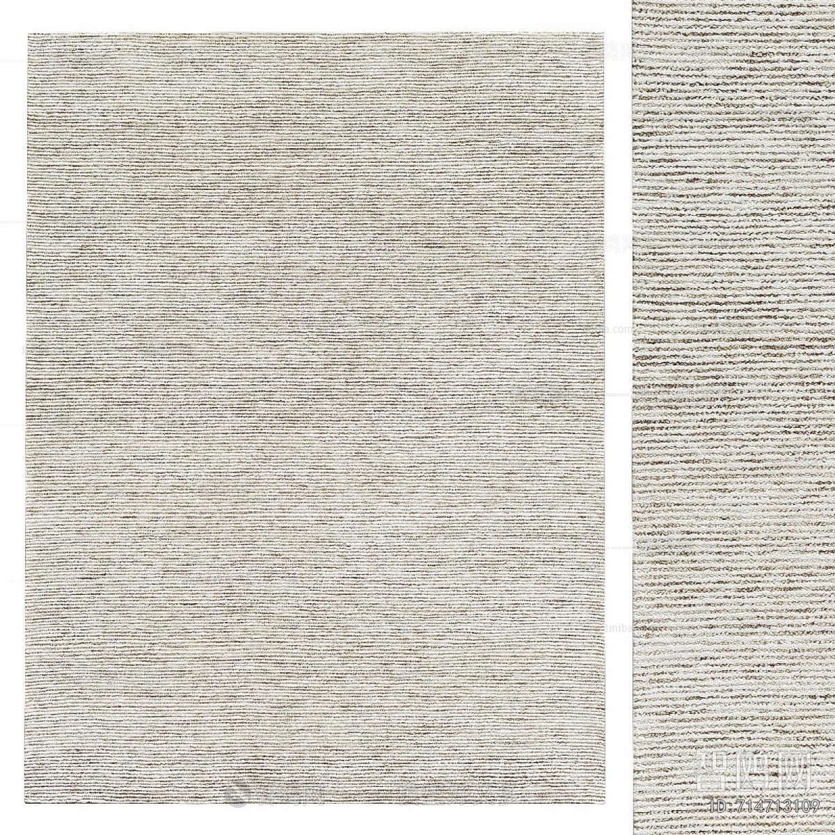 Modern The Carpet