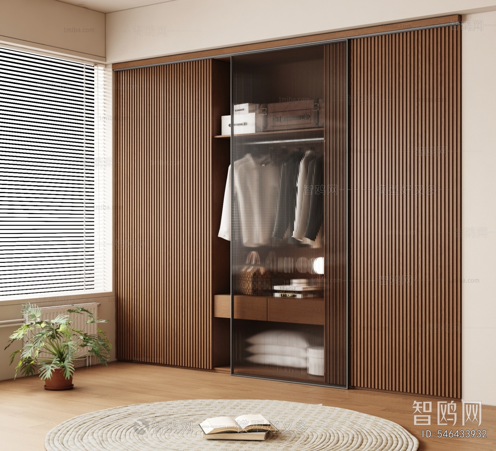 Modern Clothes Storage Area