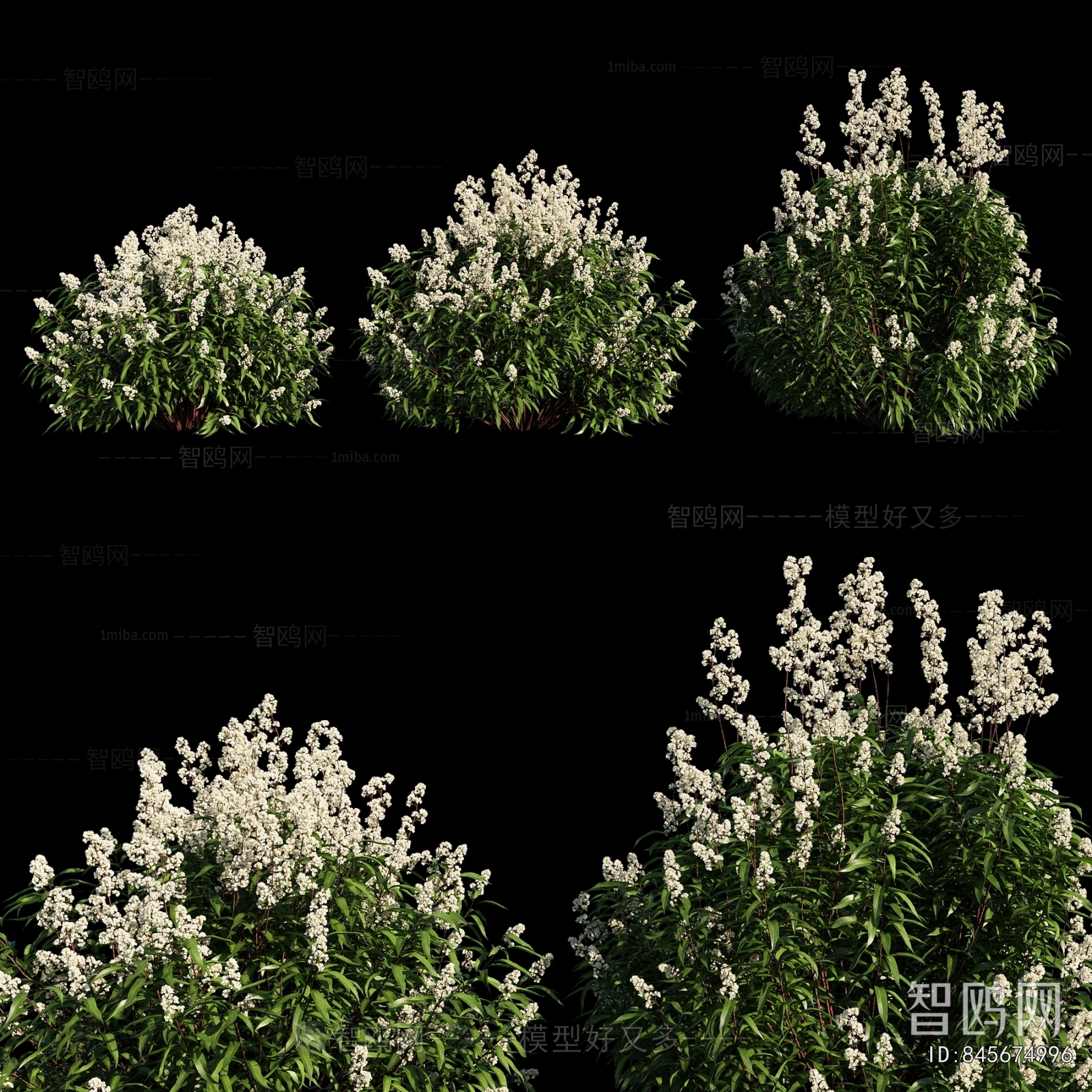Modern Shrubbery
