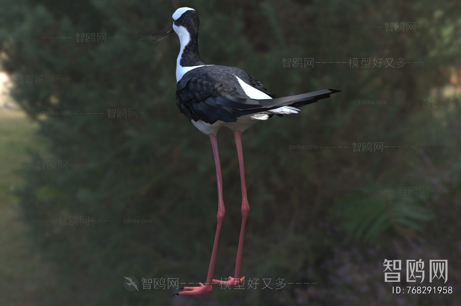 Modern Flying Animals