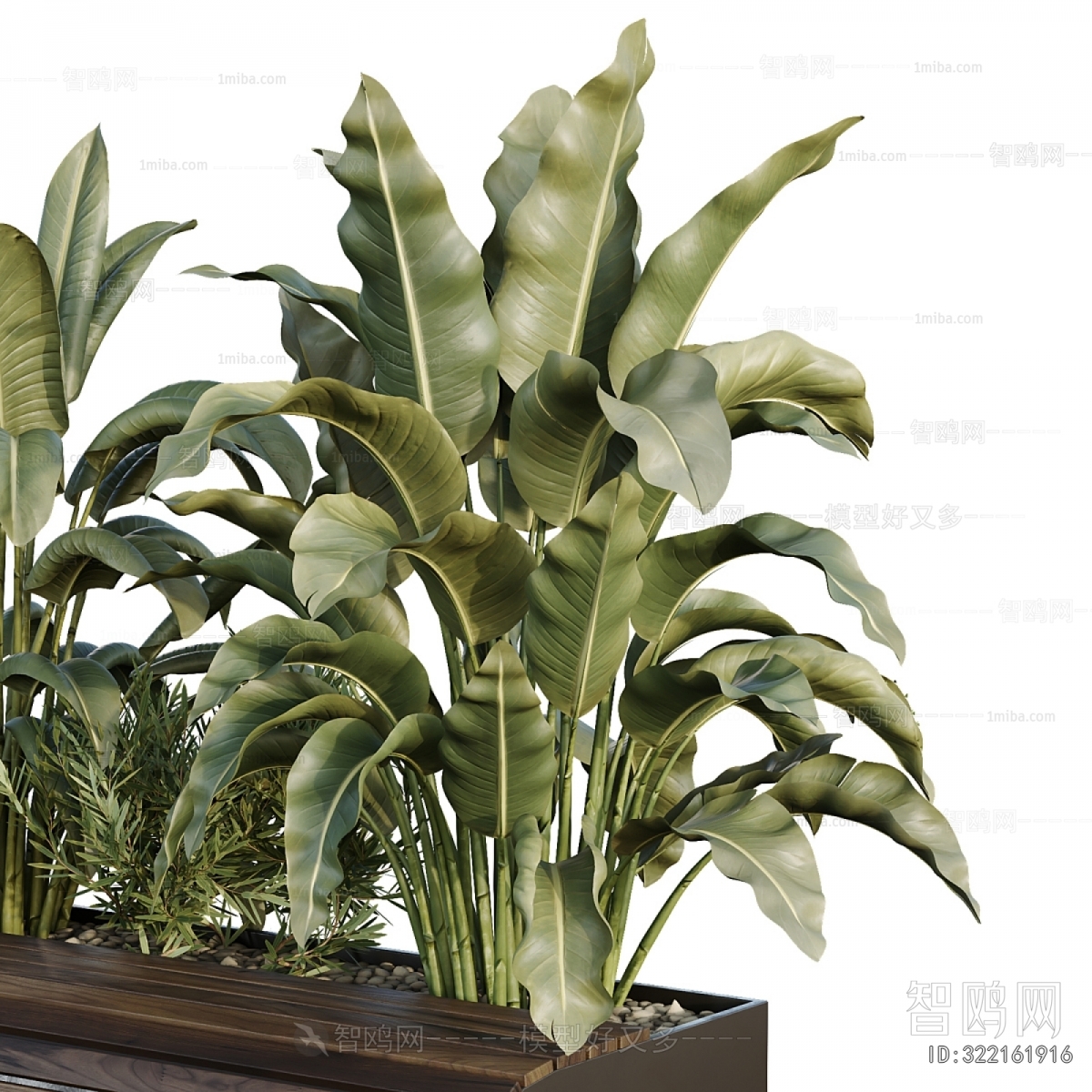 Modern Flower Bed, Flower Bowl, Flower Box