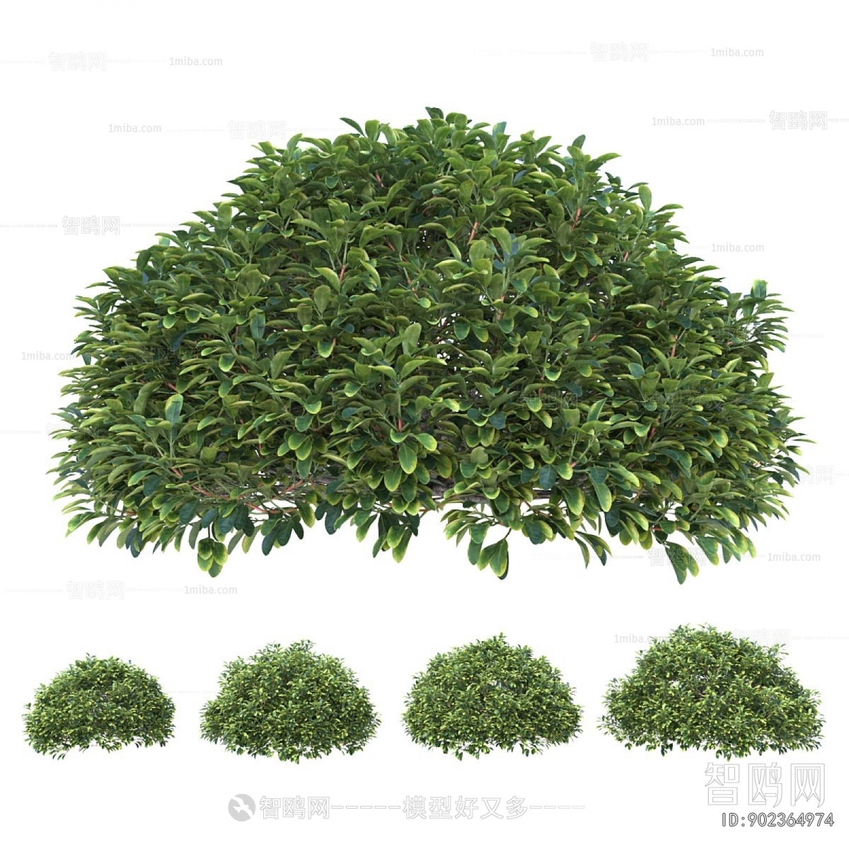 Modern Shrubbery