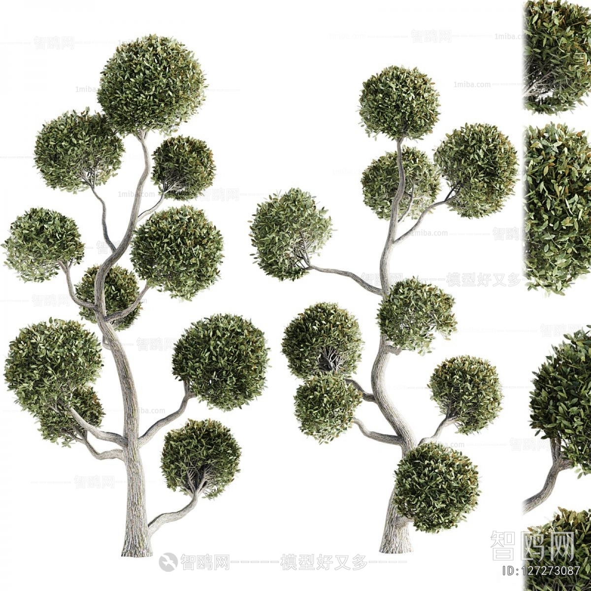 Modern Tree