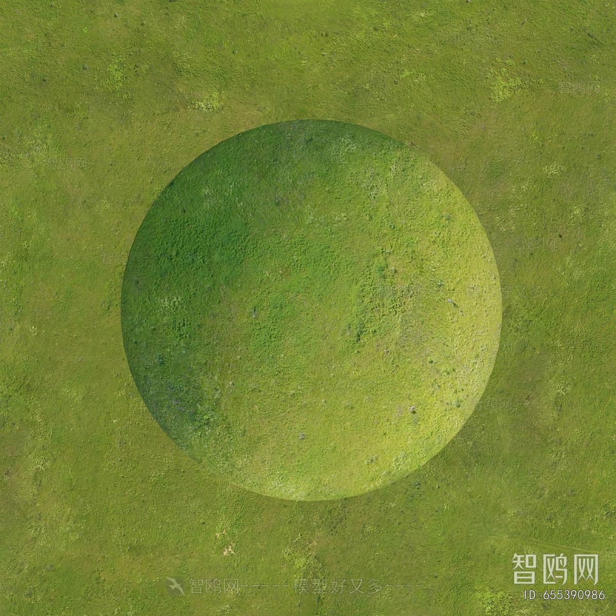 Modern The Grass