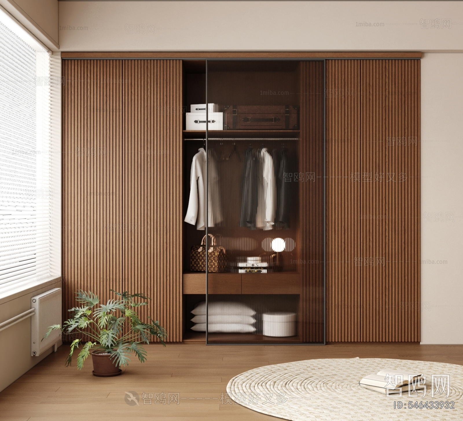Modern Clothes Storage Area