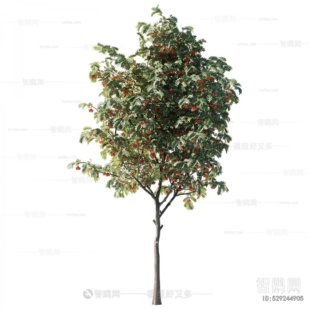 Modern Tree