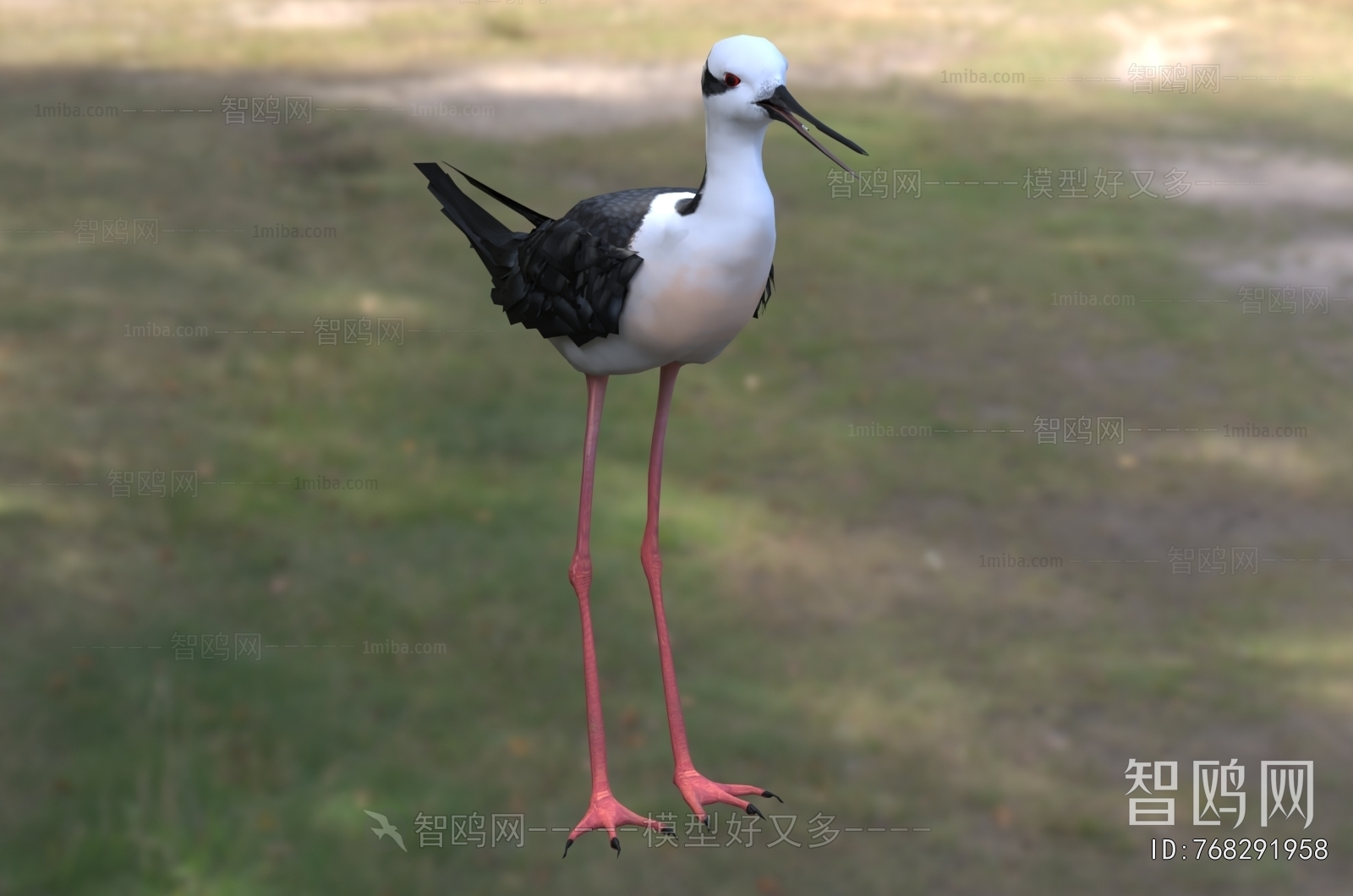 Modern Flying Animals