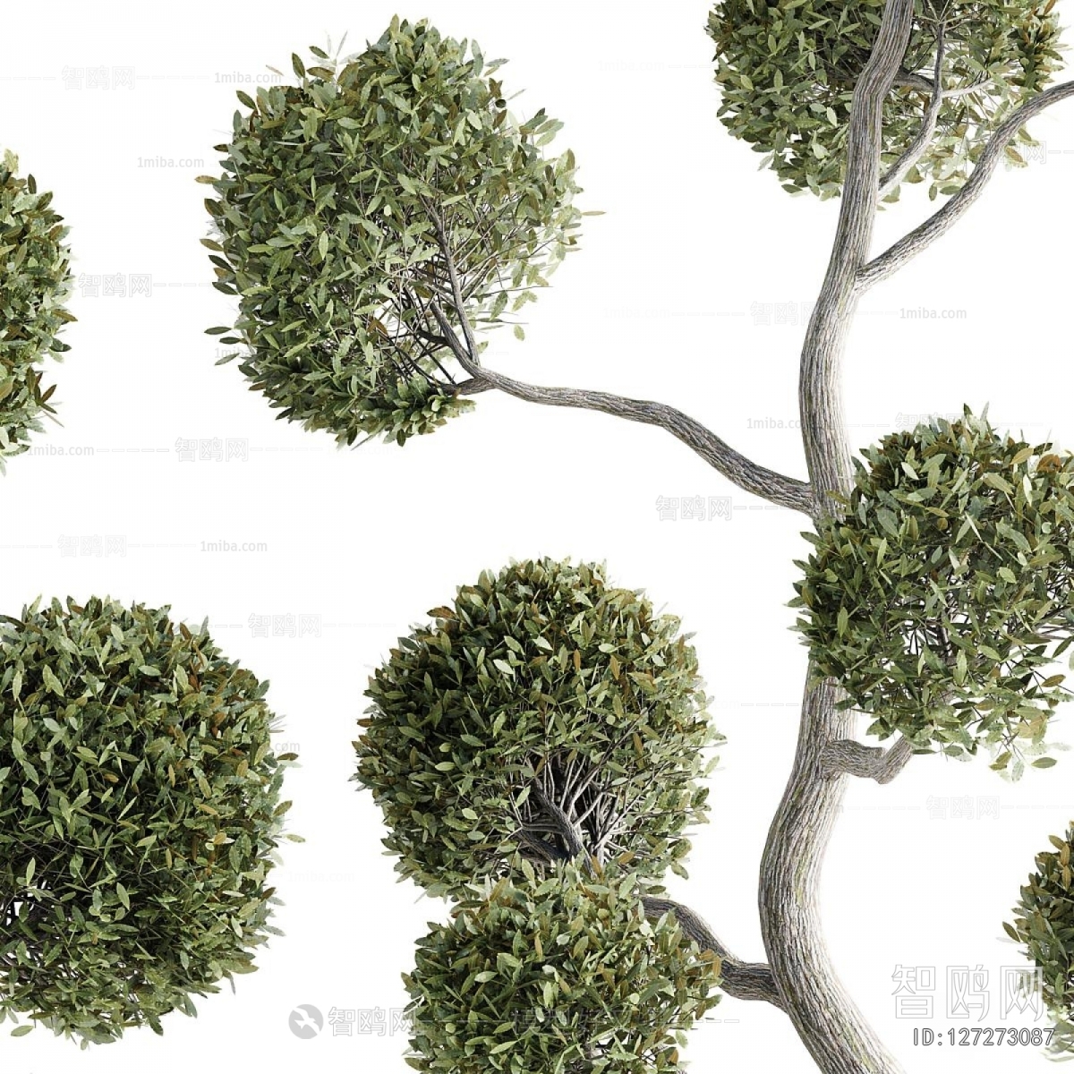 Modern Tree