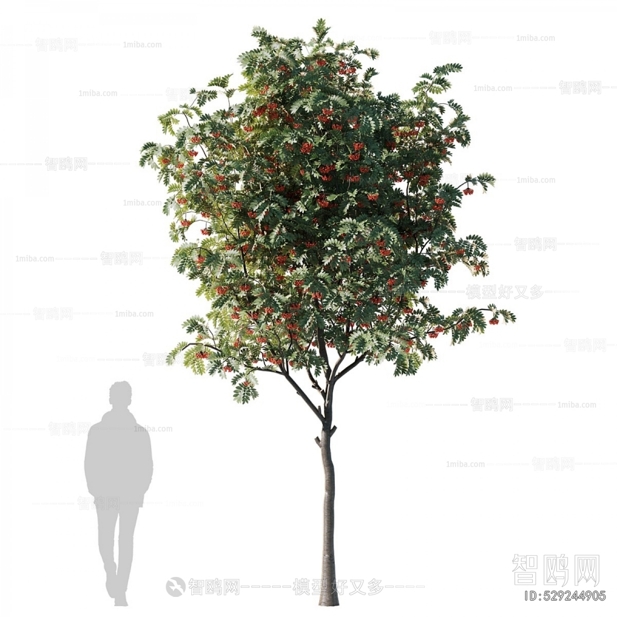 Modern Tree