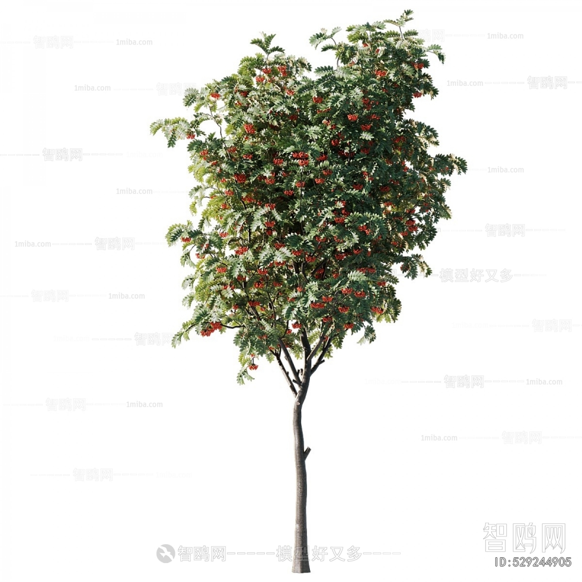 Modern Tree
