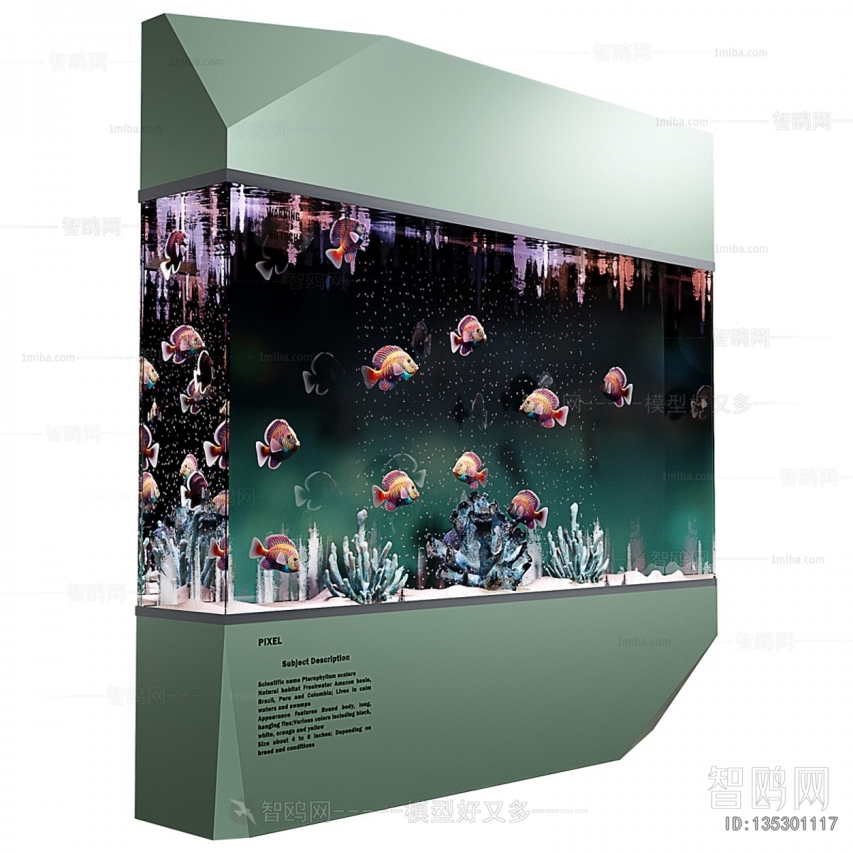 Modern Fish Tank