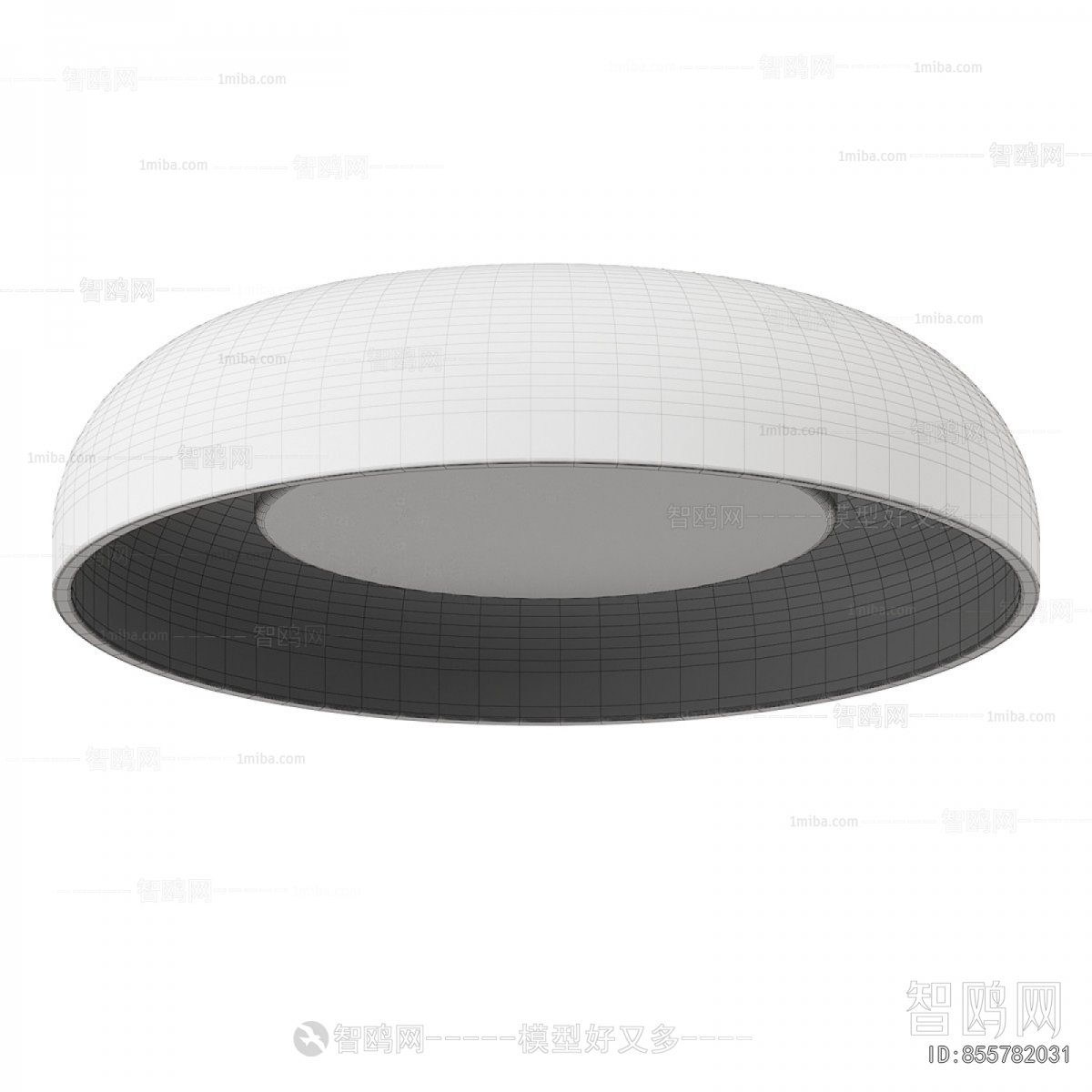 Modern Ceiling Ceiling Lamp