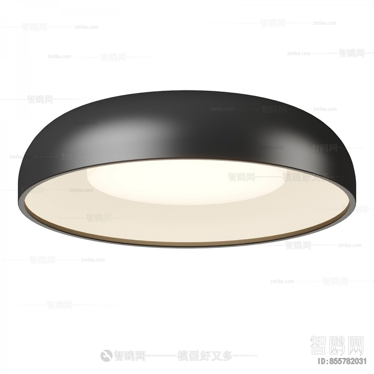 Modern Ceiling Ceiling Lamp