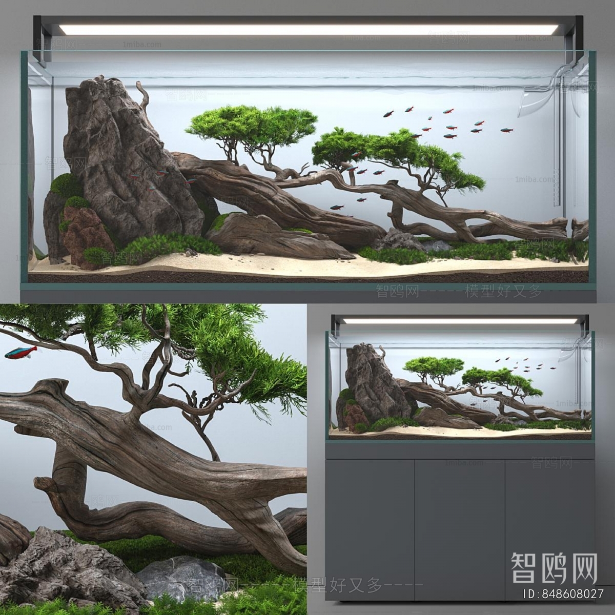 Modern Fish Tank