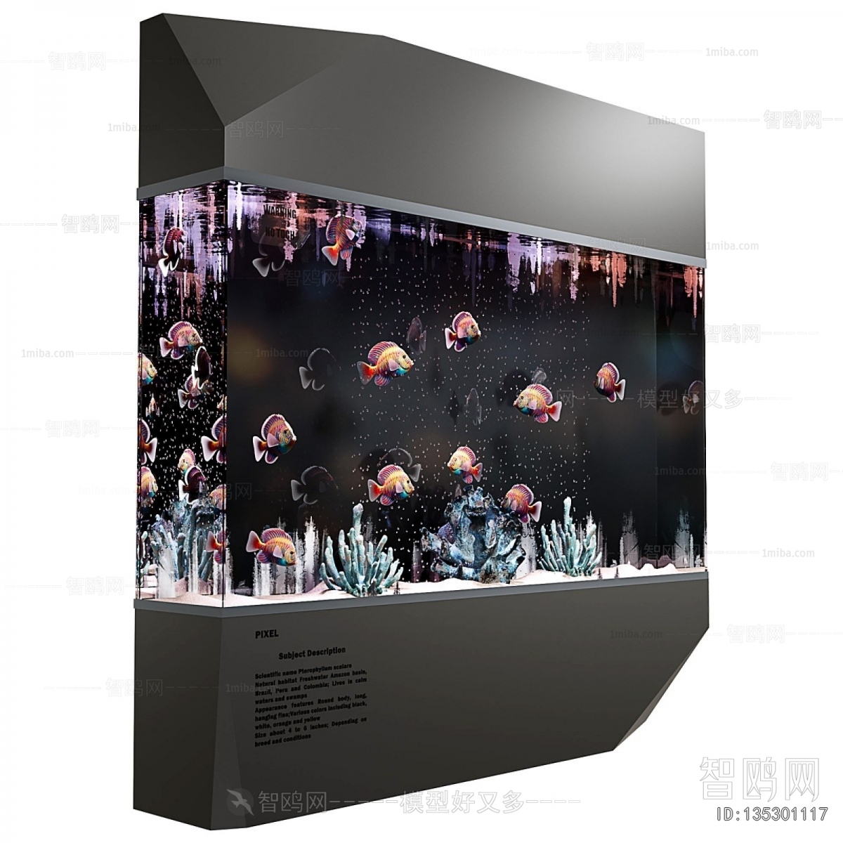 Modern Fish Tank