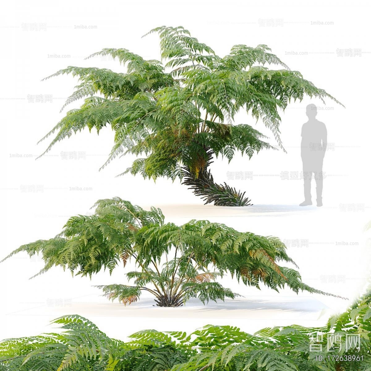Modern Tree/shrub/grass