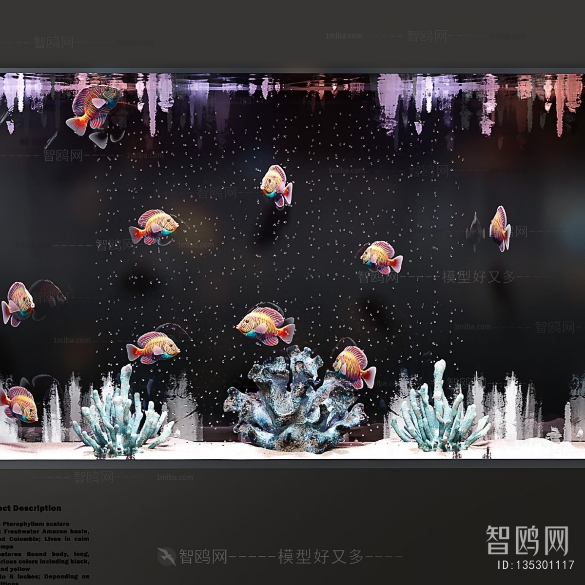 Modern Fish Tank