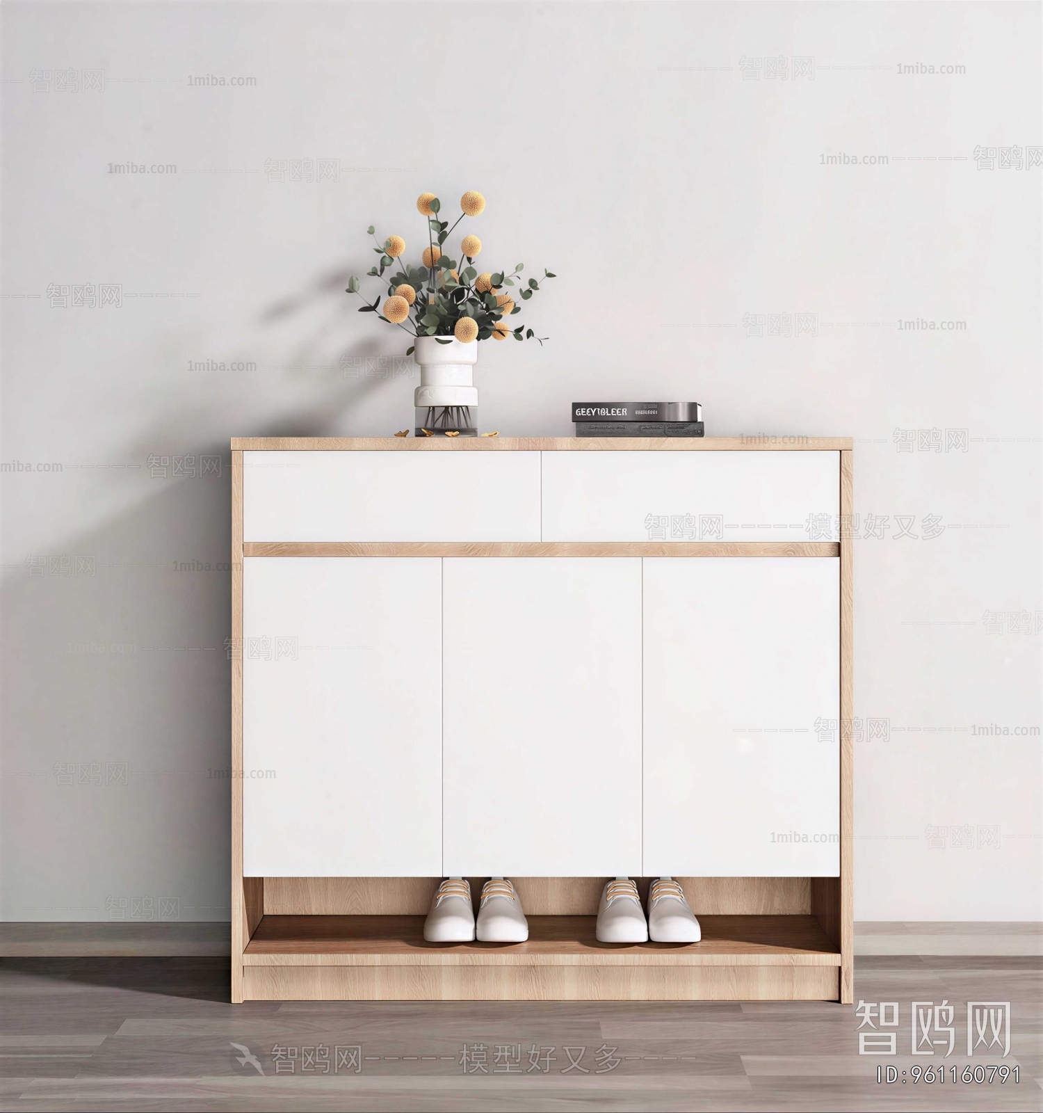 Modern Shoe Cabinet