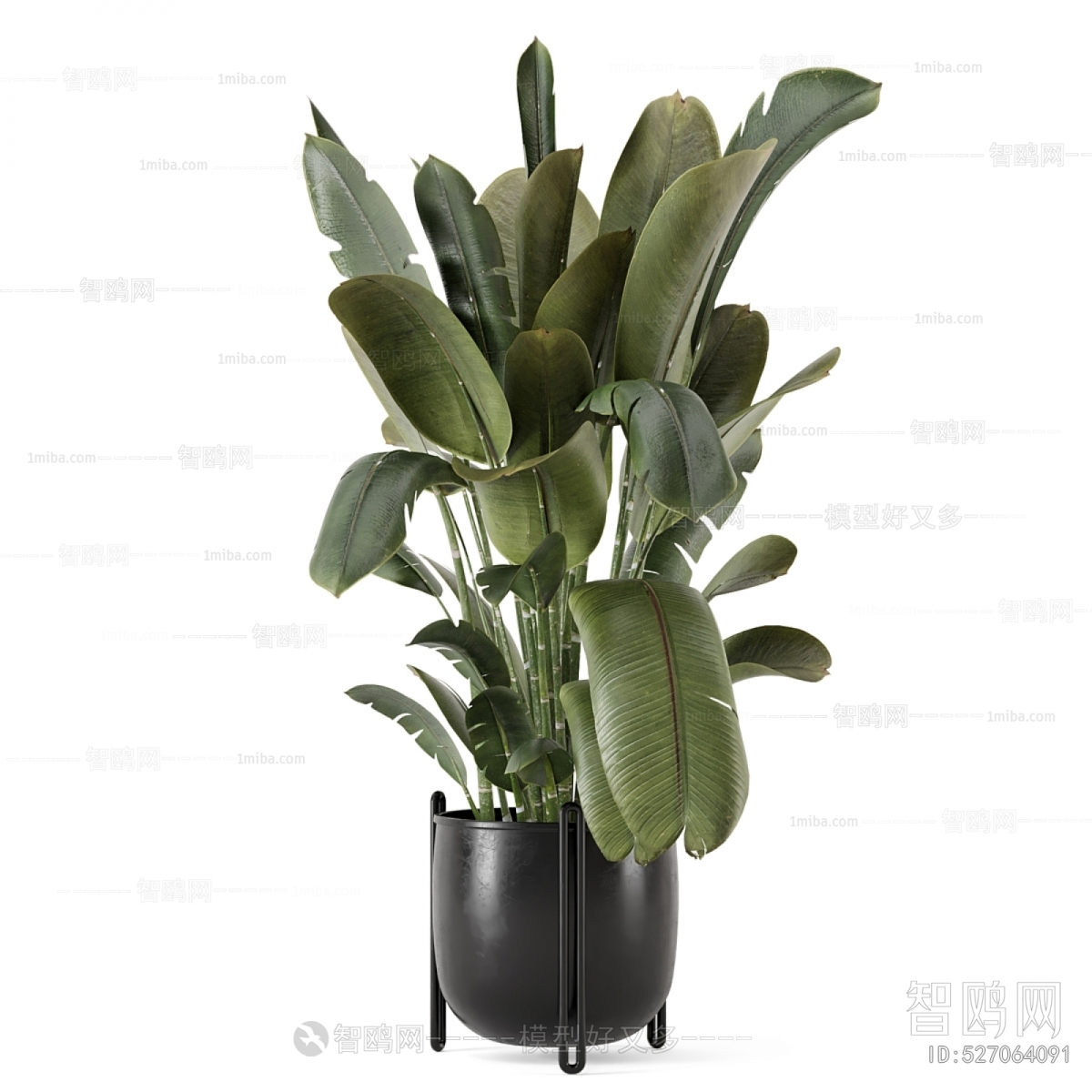 Modern Ground Green Plant Potted Plants