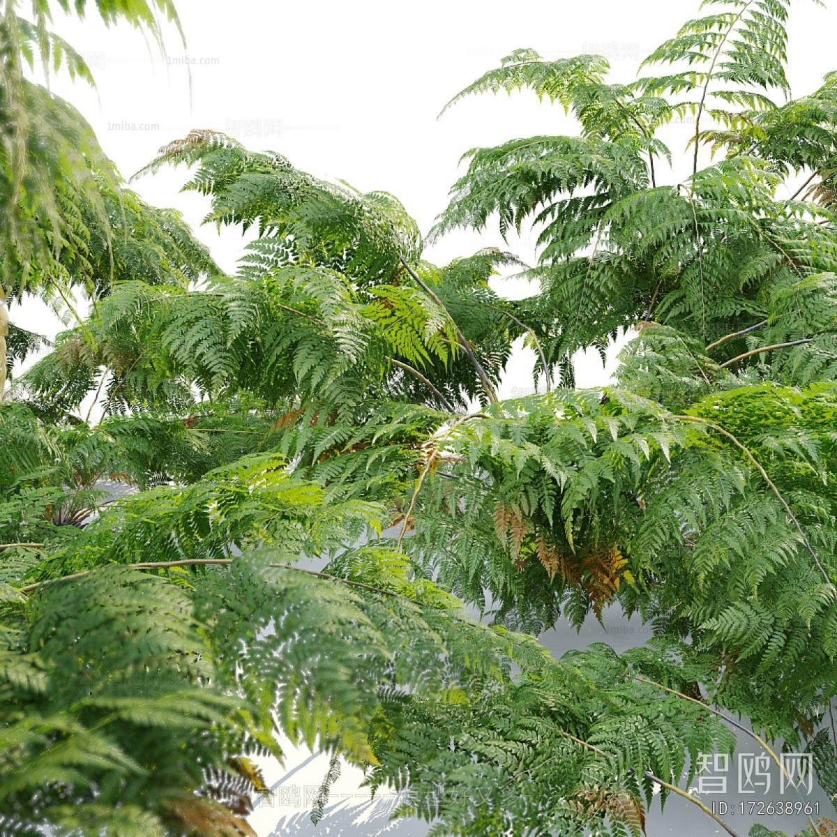 Modern Tree/shrub/grass
