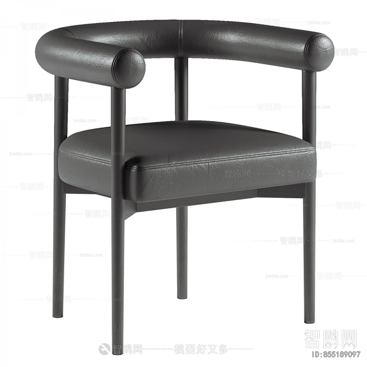 Modern Dining Chair