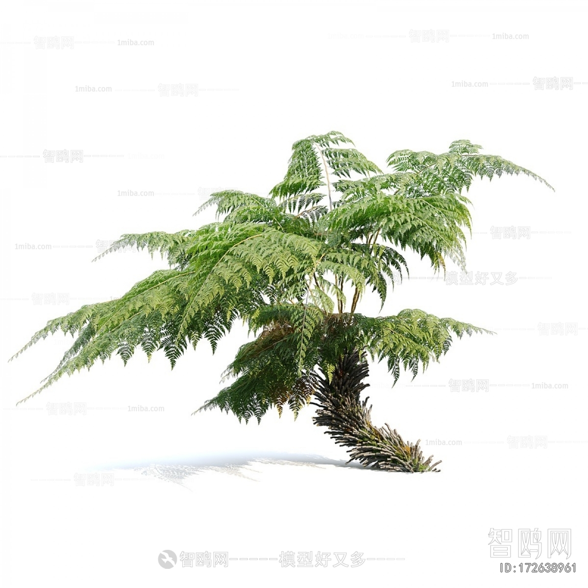 Modern Tree/shrub/grass