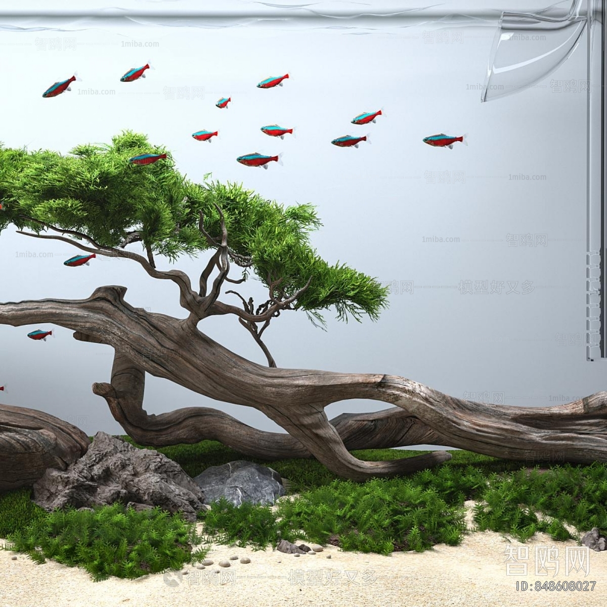 Modern Fish Tank