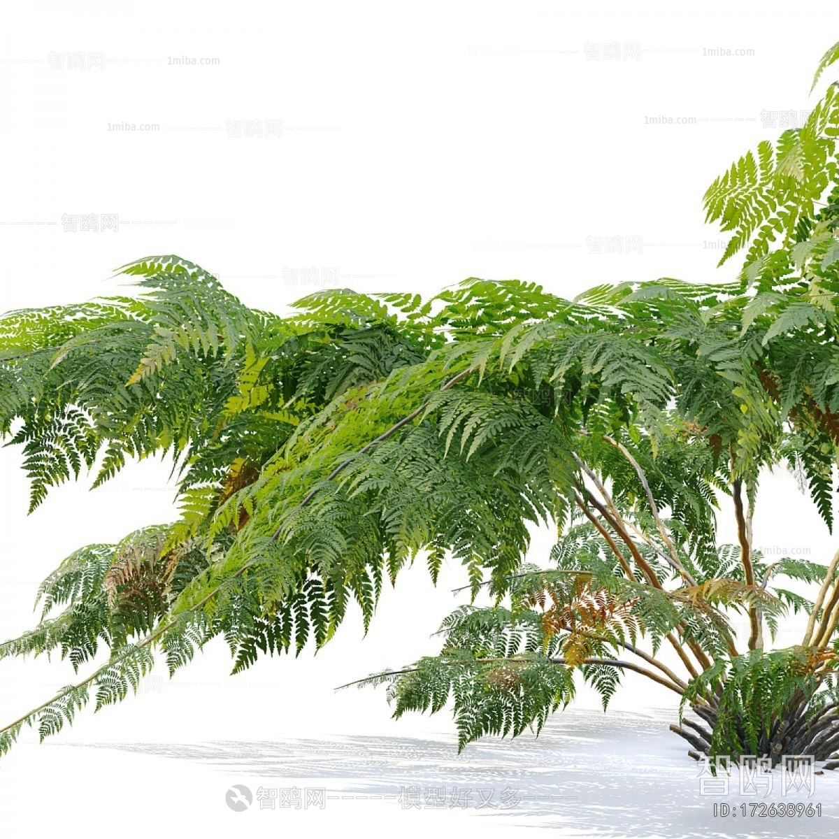 Modern Tree/shrub/grass