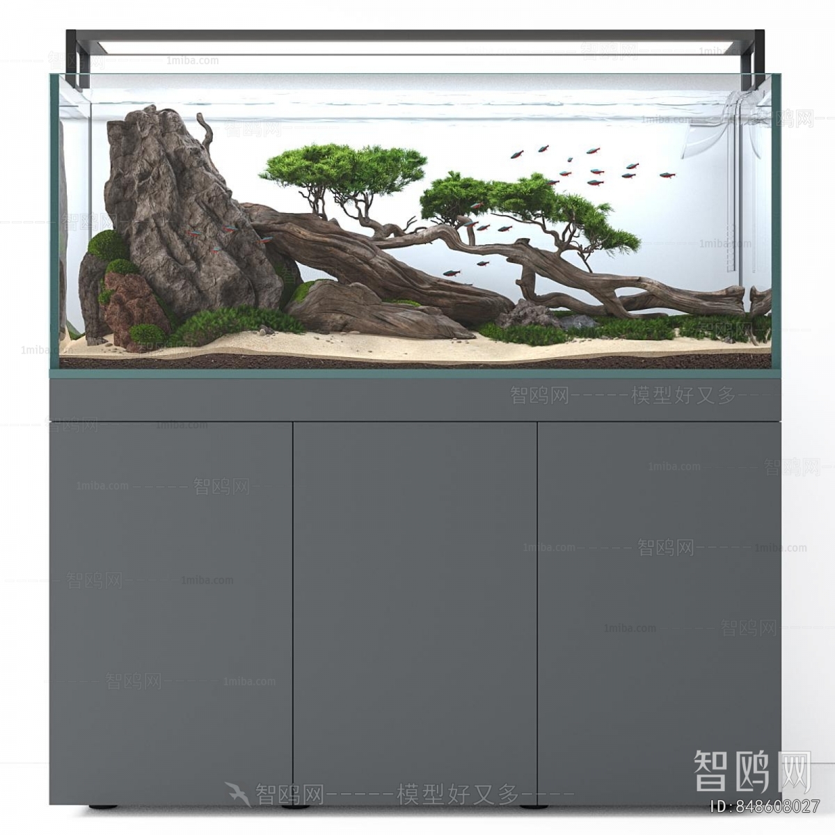 Modern Fish Tank